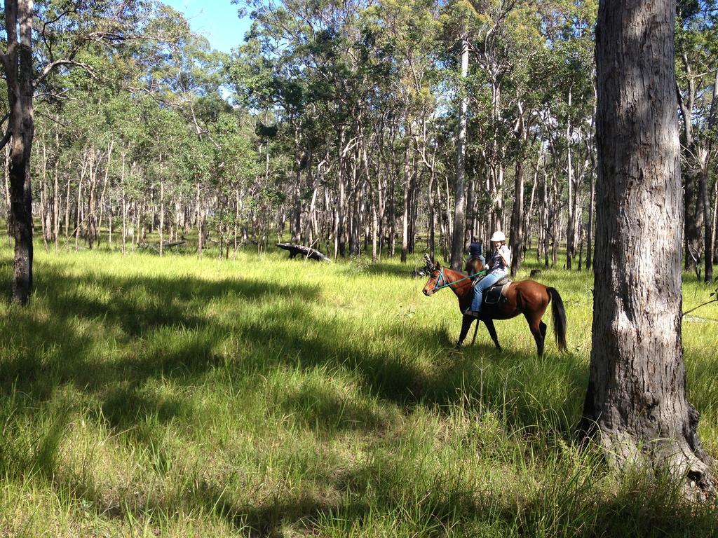 Susan River Homestead Hervey Bay Luaran gambar