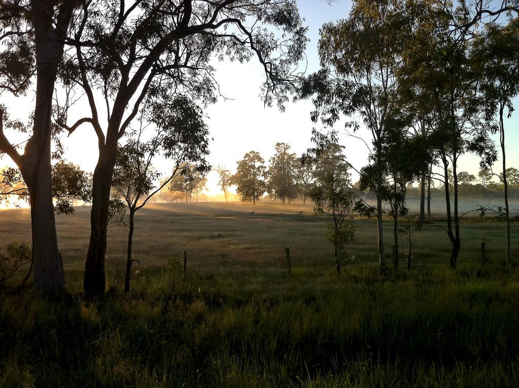 Susan River Homestead Hervey Bay Luaran gambar