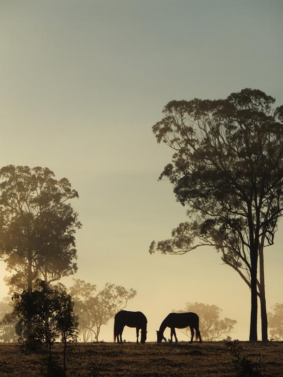 Susan River Homestead Hervey Bay Luaran gambar